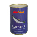 155g Dose Sardine mit bestem Preis